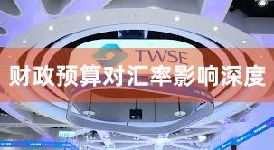 财政预算对汇率影响深度