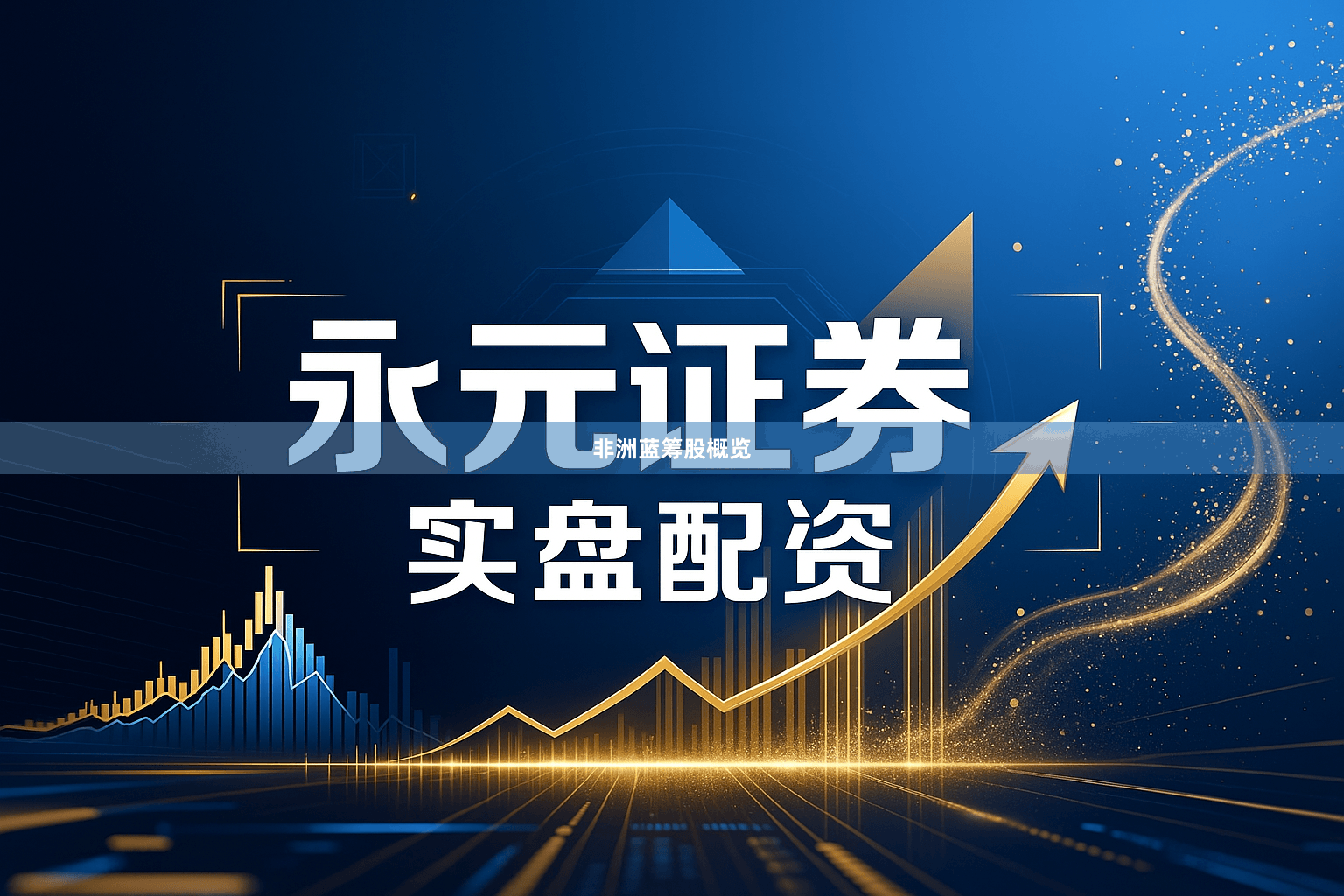 非洲蓝筹股概览