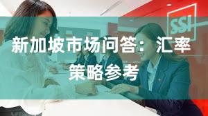 新加坡市场问答：汇率 策略参考